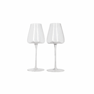 Tulip clear glass wine glasses set of 2